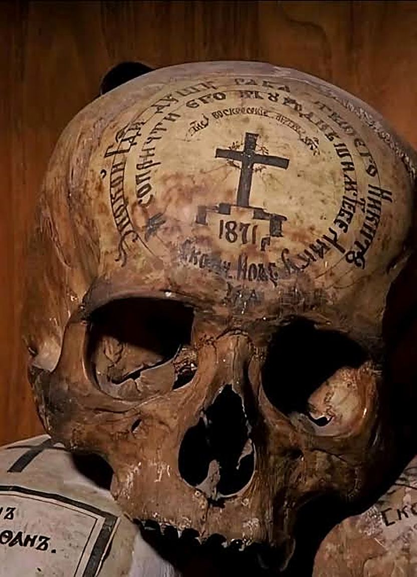 A skull, washed, inscribed and set on the shelf